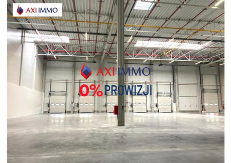 Magazyn do wynajęcia - Kraków, Krakowski, 8000 m², 136 000 PLN, NET-8698