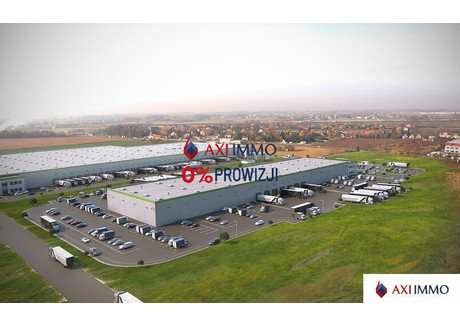 Magazyn do wynajęcia - Poznań, 6700 m², 20 100 Euro (85 827 PLN), NET-9023