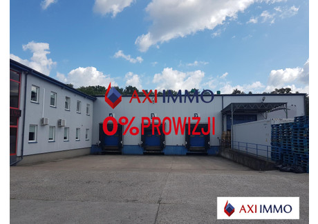 Magazyn do wynajęcia - Szczecin, 3284 m², 75 000 PLN, NET-8693