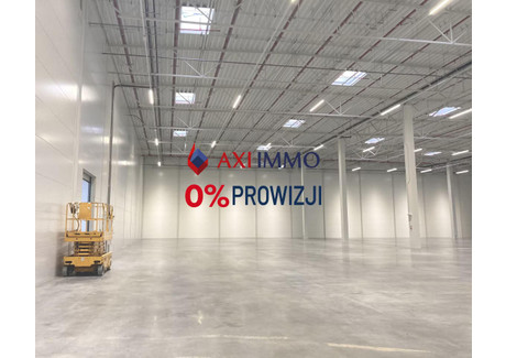 Magazyn do wynajęcia - Rzeszów, Rzeszowski, 9000 m², 180 000 PLN, NET-9093