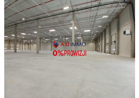 Magazyn do wynajęcia - Nowosolna, Łódzki Wschodni, 5000 m², 14 000 Euro (59 780 PLN), NET-8939