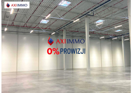 Magazyn do wynajęcia - Kielce, 20 000 m², 340 000 PLN, NET-8287