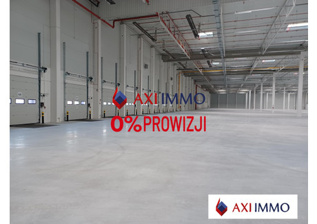 Magazyn do wynajęcia - Szczecin, 6200 m², 18 600 Euro (80 910 PLN), NET-8472