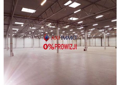 Magazyn do wynajęcia - Długołęka, Wrocławski, 2500 m², 9500 Euro (41 040 PLN), NET-8930