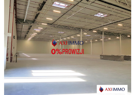 Magazyn do wynajęcia - Widzew, Łódź, 5000 m², 17 500 Euro (75 600 PLN), NET-8248