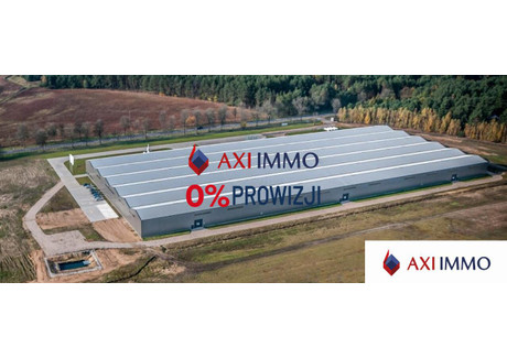 Magazyn do wynajęcia - Bielsk Podlaski, Bielski, 5000 m², 110 000 PLN, NET-8703