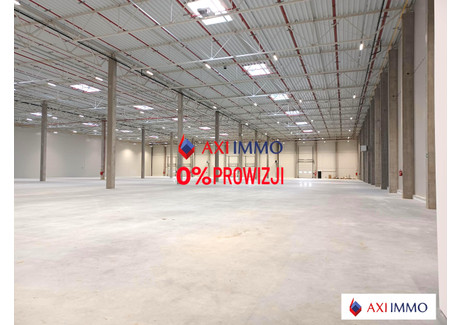 Magazyn do wynajęcia - Pabianice, Pabianicki, 15 000 m², 52 500 Euro (226 800 PLN), NET-8200