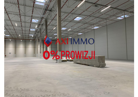 Magazyn do wynajęcia - Lublin, 1650 m², 5610 Euro (23 899 PLN), NET-9013