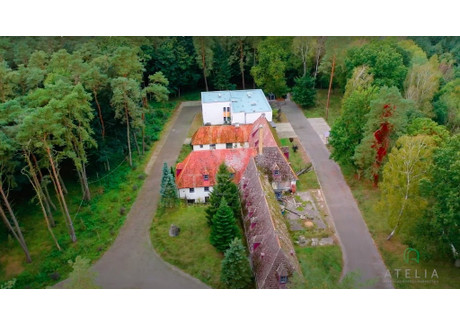 Komercyjne do wynajęcia - Trzeszczyn, Police, Policki, 433 m², 23 000 PLN, NET-ATL02231