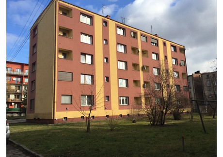 Mieszkanie do wynajęcia - Gogolińskla Mikulczyce, Zabrze, 36,97 m², 520 PLN, NET-18656310
