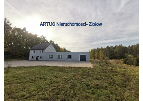 Magazyn, hala na sprzedaż - Franciszkowo, Złotów (Gm.), Złotowski (Pow.), 565 m², 1 690 000 PLN, NET-173