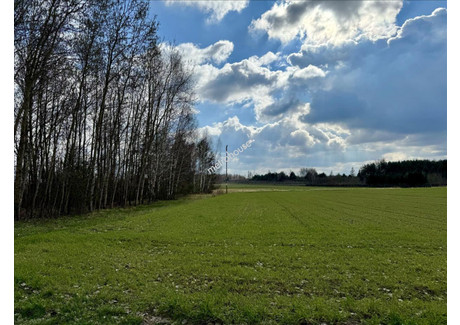 Działka na sprzedaż - Kotorydz, Tarczyn (gm.), Piaseczyński (pow.), 18 659 m², 3 731 800 PLN, NET-JEKOs480