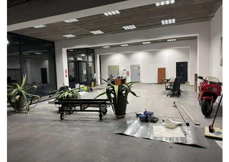 Lokal do wynajęcia - Wawer, Warszawa, 650 m², 22 000 PLN, NET-TOPY449