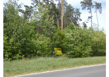 Działka na sprzedaż - Żabia Wola, Żabia Wola (gm.), Grodziski (pow.), 4000 m², 800 000 PLN, NET-MUHYs287