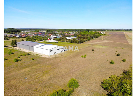 Działka na sprzedaż - Jana Pawła II Kruszyn, Włocławek, Włocławski, 10 400 m², 1 248 000 PLN, NET-FMA-GS-2609