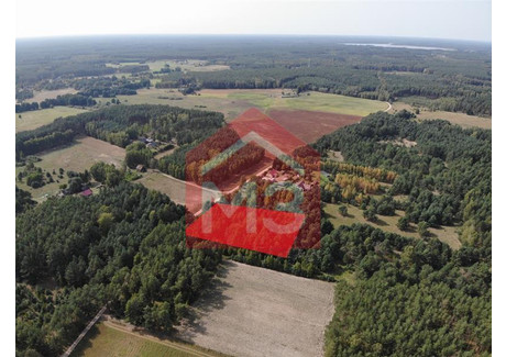 Działka na sprzedaż - Osiek, Starogardzki, 6000 m², 450 000 PLN, NET-M308969