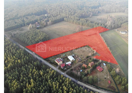 Działka na sprzedaż - Osowo Leśne Lubichowo, Starogardzki, 16 200 m², 469 800 PLN, NET-M309119