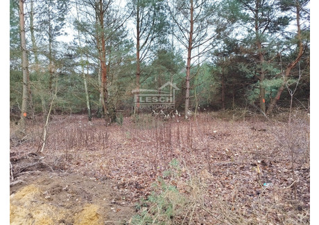 Działka na sprzedaż - Zalesie, Żabia Wola, Grodziski, 35 728 m², 6 589 243 PLN, NET-3781/1821/OGS