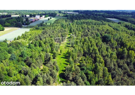 Działka na sprzedaż - Słubica-Wieś, Żabia Wola, Grodziski, 3000 m², 184 500 PLN, NET-3708/1821/OGS