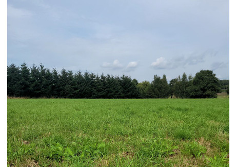 Działka na sprzedaż - Willowa Wilkowyje, Tychy, 831 m², 276 000 PLN, NET-16760919