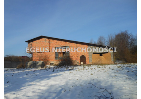 Dom na sprzedaż - Morgowska Wesoła, Mysłowice, Mysłowice M., 270 m², 820 000 PLN, NET-EGS-DS-391