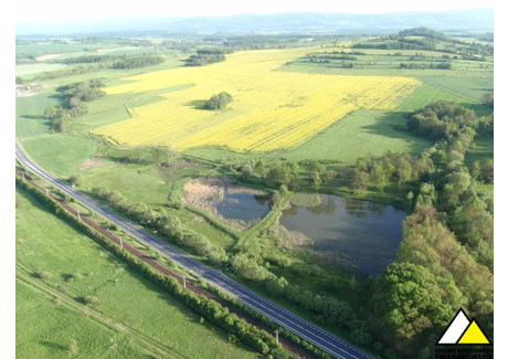 Działka na sprzedaż - Krzewie Wielkie, Gryfów Śląski, Lwówecki, 211 900 m², 2 500 000 PLN, NET-55550691