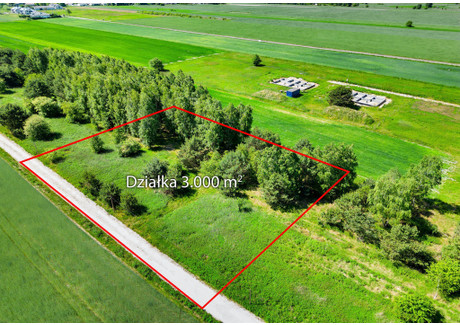 Działka na sprzedaż - Majdan, Wiązowna, Otwocki, 3000 m², 750 000 PLN, NET-92/14727/OGS