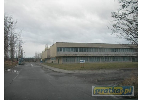 Biuro na sprzedaż - Porcelitowa Tułowice, Tułowice (gm.), Opolski (pow.), 7600 m², 2 350 000 PLN, NET-3140767