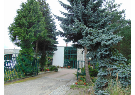 Dom na sprzedaż - Brzoza, Toruń, 450 m², 2 400 000 PLN, NET-496951