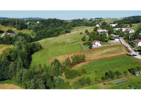 Działka na sprzedaż - Stróżówka, Gorlice, Gorlicki, 2937 m², 155 000 PLN, NET-344/6152/OGS