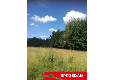 Działka na sprzedaż - Garbatówka, Cyców, Łęczyński, 31 800 m², 75 000 PLN, NET-745/13924/OGS