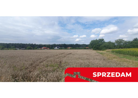 Działka na sprzedaż - Wiosenna Świdnik, Świdnicki, 1721 m², 720 000 PLN, NET-670/13924/OGS