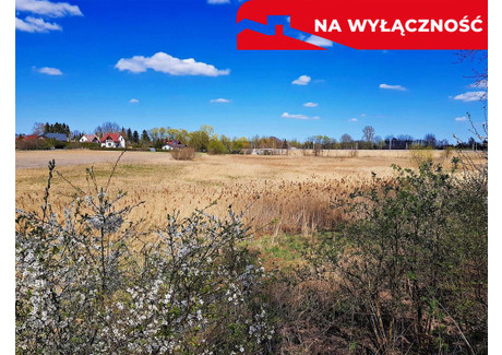 Działka na sprzedaż - Miłocin, Wojciechów, Lubelski, 5000 m², 120 000 PLN, NET-829/13924/OGS