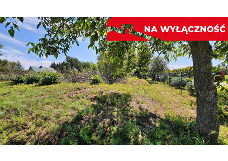 Działka na sprzedaż - Sadurki, Nałęczów, Puławski, 6200 m², 259 000 PLN, NET-957/13924/OGS