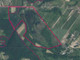 Działka na sprzedaż - Celejów, Wąwolnica, Puławski, 350 000 m², 12 500 000 PLN, NET-697/13924/OGS