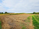 Rolny na sprzedaż - Buchałowice, Kurów, Puławski, 6065 m², 90 000 PLN, NET-1088/13924/OGS