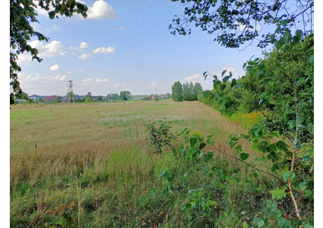 Działka na sprzedaż - Nowodwór, Lubartów, Lubartowski, 16 341 m², 2 989 990 PLN, NET-1043/13924/OGS