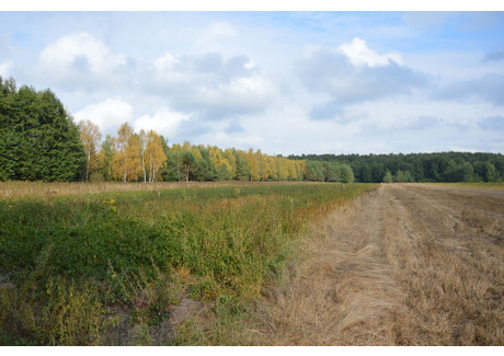 Działka na sprzedaż - Klarów, Milejów, Łęczyński, 10 918 m², 95 000 PLN, NET-1529/13924/OGS