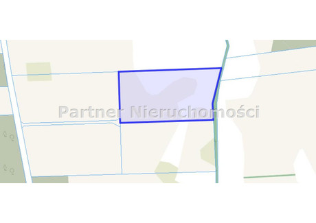 Działka na sprzedaż - Skępe, Lipnowski, 21 867 m², 1 400 000 PLN, NET-PRT-GS-11119