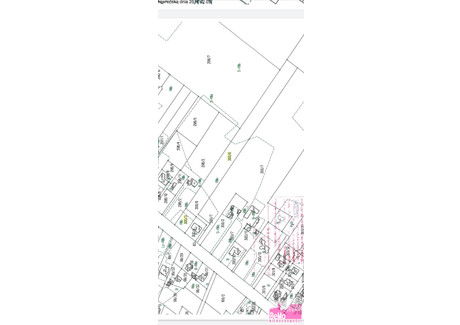 Działka na sprzedaż - Szpetal Górny, Fabianki, Włocławski, 10 140 m², 1 318 200 PLN, NET-BMO-GS-2981