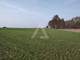 Rolny na sprzedaż - Wąsosz, Szubin, Nakielski, 1000 m², 100 000 PLN, NET-IDE-GS-12786