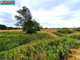 Rolny na sprzedaż - Kąck, Wiązowna, Otwocki, 74 100 m², 1 629 000 PLN, NET-62023