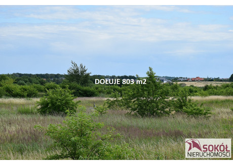 Działka na sprzedaż - Dołuje, Dobra (szczecińska) (gm.), Policki (pow.), 803 m², 265 000 PLN, NET-235