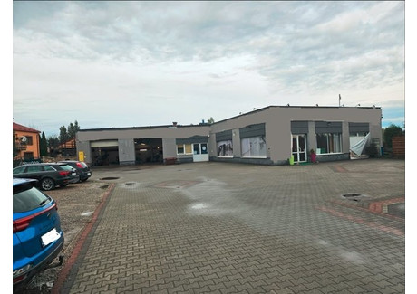 Magazyn na sprzedaż - Brzeska Niepołomice, Wielicki, 732 m², 8 950 000 PLN, NET-KKA-HS-3919