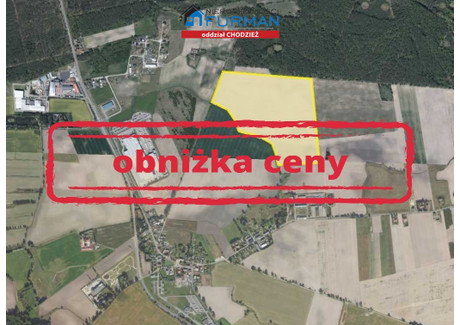 Działka na sprzedaż - Podanin, Chodzież, Chodzieski, 260 000 m², 2 600 000 PLN, NET-FRC-GS-197071