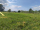 Rolny na sprzedaż - Wólka Kozodawska, Piaseczno, Piaseczyński, 15 500 m², 1 699 000 PLN, NET-pl734499