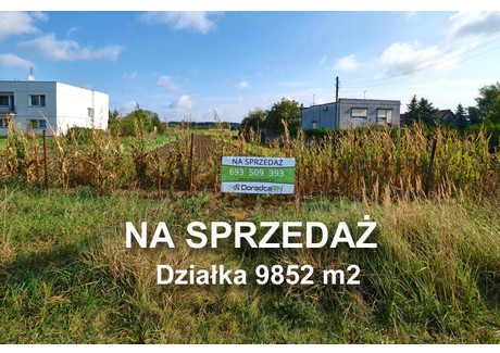 Działka na sprzedaż - Szczepankowo Spławie, Poznań, Poznań M., 9852 m², 2 970 000 PLN, NET-DRN-GS-4762