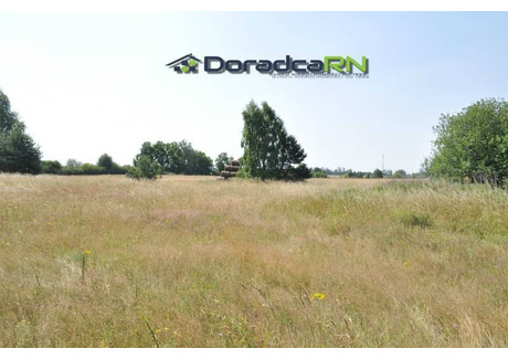 Działka na sprzedaż - Żerniki, Oborniki, Obornicki, 36 000 m², 450 000 PLN, NET-DRN-GS-4559