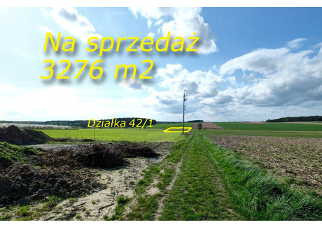 Działka na sprzedaż - Ogrodowa Golęczewo, Suchy Las, Poznański, 3276 m², 690 000 PLN, NET-DRN-GS-4638