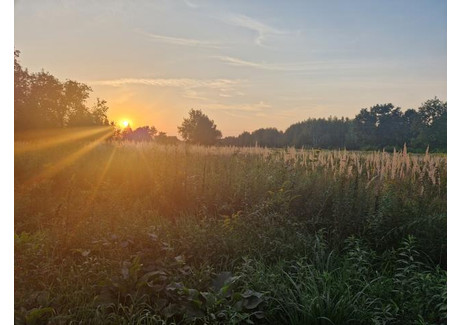 Działka na sprzedaż - Tramwajowa Zagościniec, Wołomin, Wołomiński, 1000 m², 160 000 PLN, NET-7463